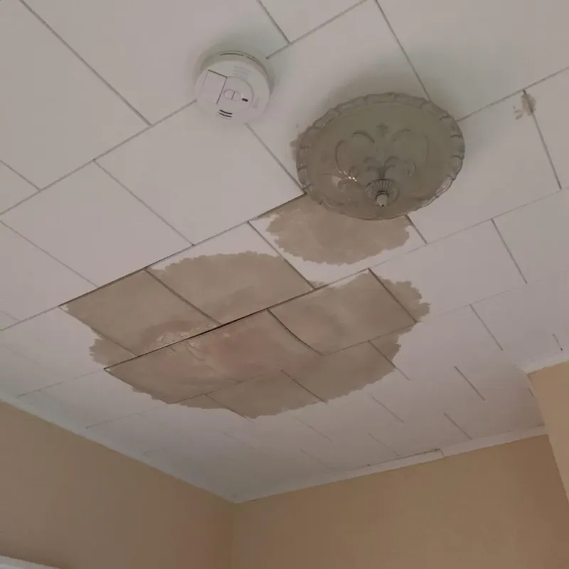 Ceiling Water Damage Repair in Malvern, AR