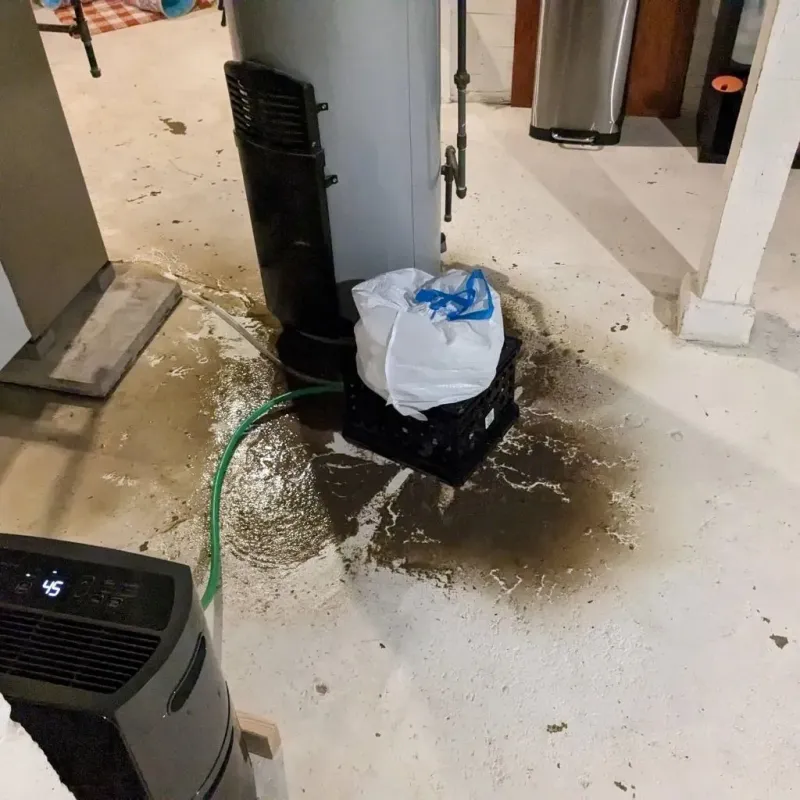 Sewage Backup Cleanup Service in Malvern, AR